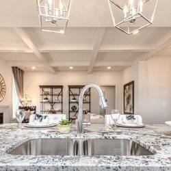 Countertops & sink